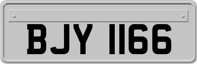 BJY1166