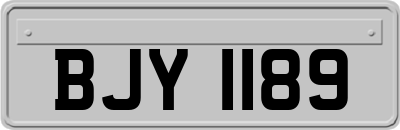BJY1189