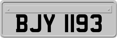 BJY1193