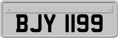 BJY1199
