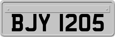 BJY1205