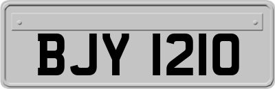 BJY1210