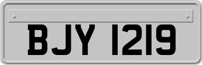 BJY1219