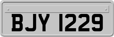 BJY1229