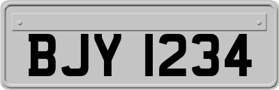 BJY1234