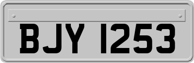 BJY1253