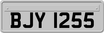 BJY1255