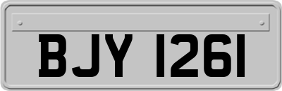 BJY1261