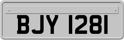 BJY1281