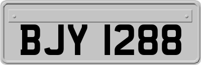 BJY1288