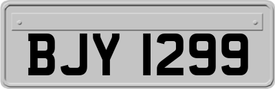 BJY1299