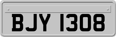 BJY1308
