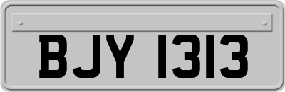 BJY1313