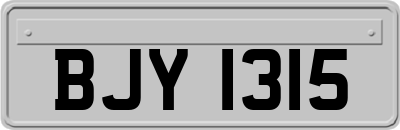 BJY1315