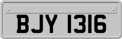 BJY1316