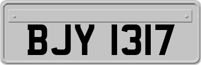 BJY1317