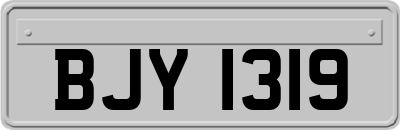 BJY1319