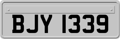 BJY1339