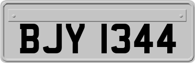 BJY1344
