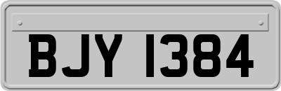 BJY1384