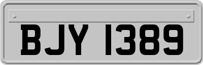 BJY1389