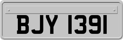 BJY1391
