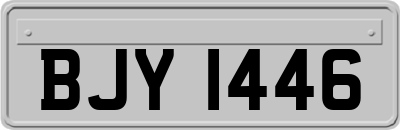 BJY1446