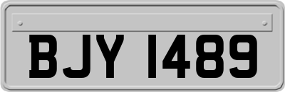 BJY1489