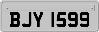 BJY1599