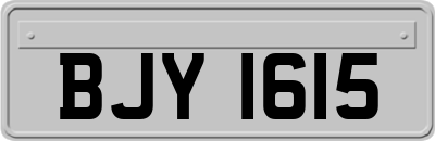 BJY1615
