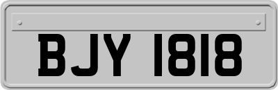 BJY1818