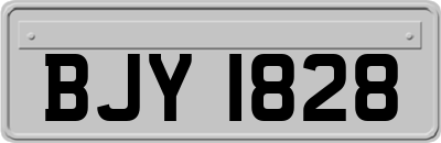 BJY1828