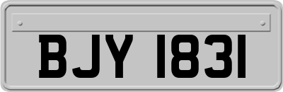 BJY1831