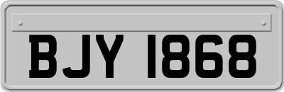 BJY1868