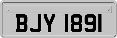 BJY1891