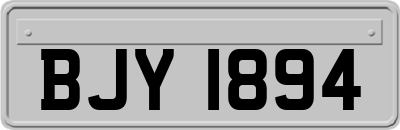 BJY1894