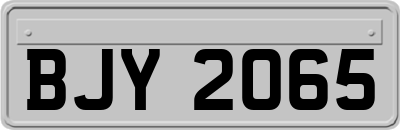 BJY2065