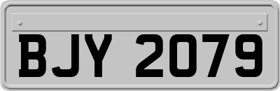 BJY2079