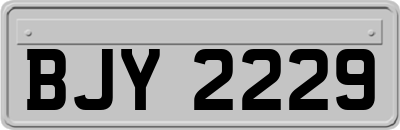 BJY2229