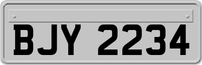 BJY2234