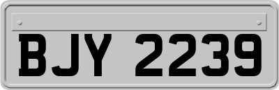 BJY2239