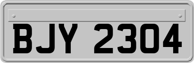 BJY2304