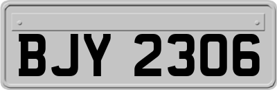 BJY2306