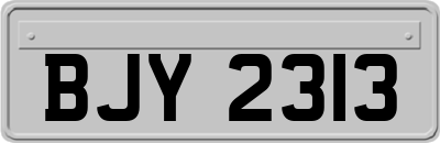 BJY2313