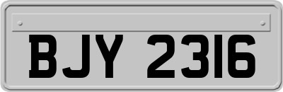BJY2316