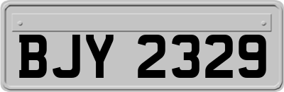 BJY2329