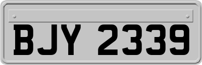 BJY2339
