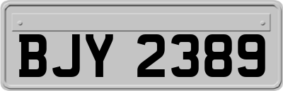 BJY2389