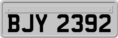 BJY2392