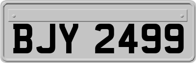 BJY2499